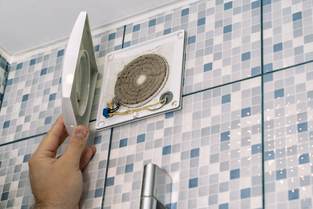 Best Affordable HVAC Duct Cleaning  in Springerville, AZ