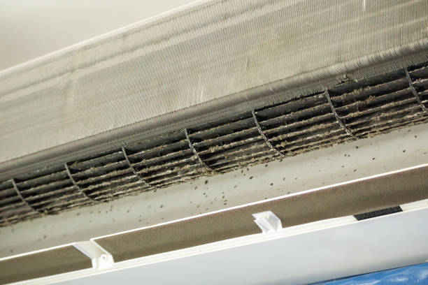 Best HVAC Duct Inspection Services  in Springerville, AZ